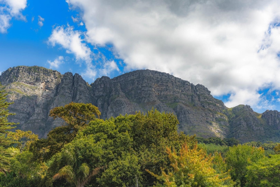 3 Bedroom Property for Sale in Newlands Western Cape